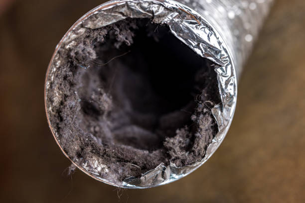 Best HVAC Duct Inspection Services  in Pinetop Country Clu, AZ