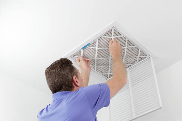 Best Professional Duct Cleaning Services  in Pinetop Country Clu, AZ